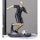 A beautiful decoration for a boys desk and bookshelves can also be used for work, office and living room