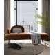 American simple modern chaise longue birch material sofa small apartment fabric chaise longue