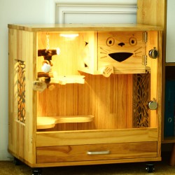 Showcase cage for the corridor