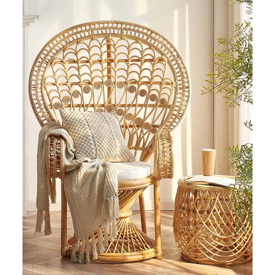 Creative rattan furniture peacock design chair, bedroom living room chair, Scandinavian chair