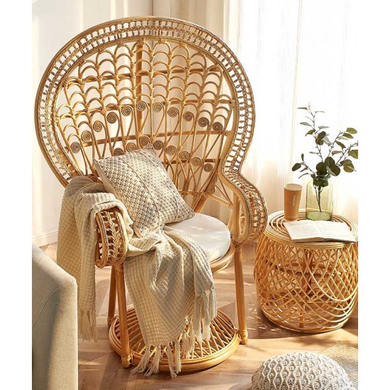 Creative rattan furniture peacock design chair, bedroom living room chair, Scandinavian chair