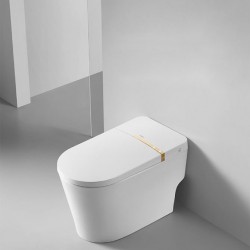 Smart toilet, no water pressure limit home automatic siphon semi-smart toilet, bathroom light smart toilet