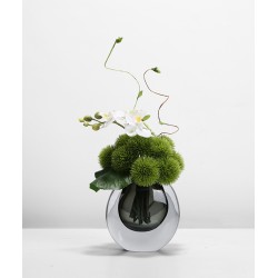 Green plant decoration, orchid flower arrangement, living room table and coffee table decoration
