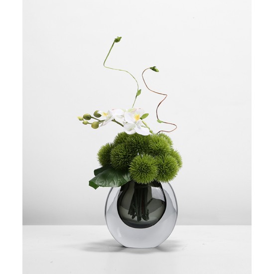 Green plant decoration, orchid flower arrangement, living room table and coffee table decoration