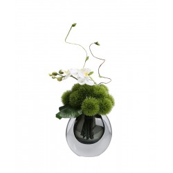 Green plant decoration, orchid flower arrangement, living room table and coffee table decoration