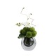 Green plant decoration, orchid flower arrangement, living room table and coffee table decoration