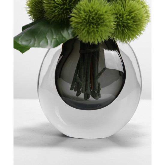 Green plant decoration, orchid flower arrangement, living room table and coffee table decoration