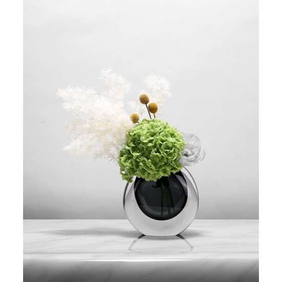 Green plant decoration, orchid flower arrangement, living room table and coffee table decoration