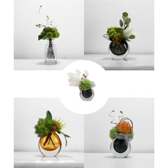 Green plant decoration, orchid flower arrangement, living room table and coffee table decoration