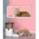 Automatic pet cat feeder, timing, adjustable smart feeder, pet food bowl, drinking water all in one machine
