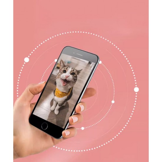 Automatic pet cat feeder, timing, adjustable smart feeder, pet food bowl, drinking water all in one machine