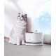 Automatic water dispenser, electric cat and dog water dispenser, stainless steel water dispenser