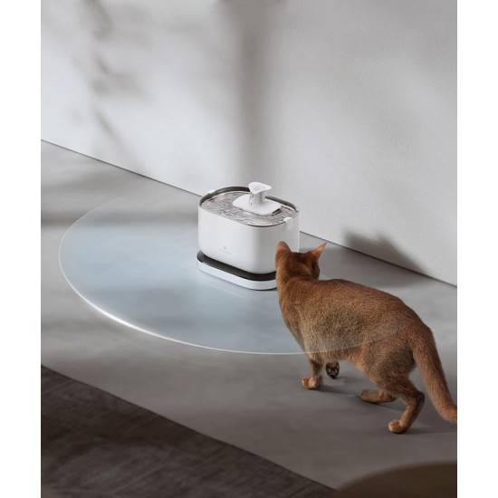 Automatic water dispenser, electric cat and dog water dispenser, stainless steel water dispenser