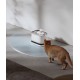 Automatic water dispenser, electric cat and dog water dispenser, stainless steel water dispenser