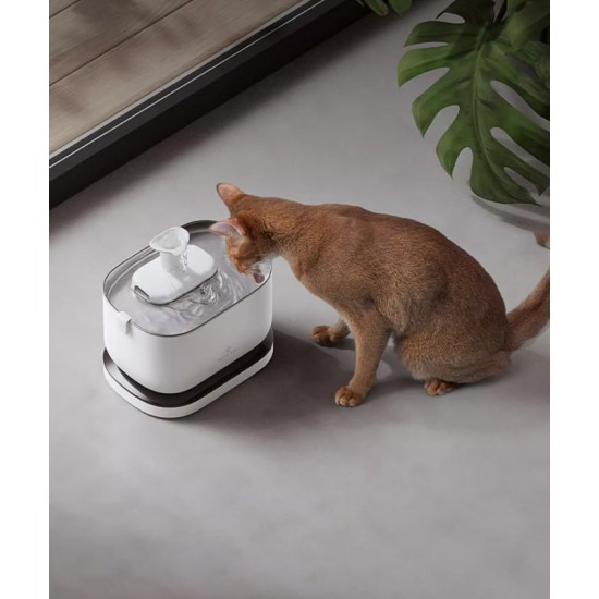 Automatic water dispenser, electric cat and dog water dispenser, stainless steel water dispenser