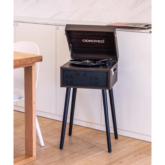 Floor standing retro phonograph, Scandinavian vintage vinyl record phonograph, multifunctional music player	