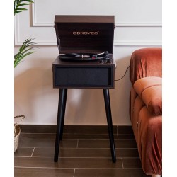 Floor standing retro phonograph, Scandinavian vintage vinyl record phonograph, multifunctional music player	