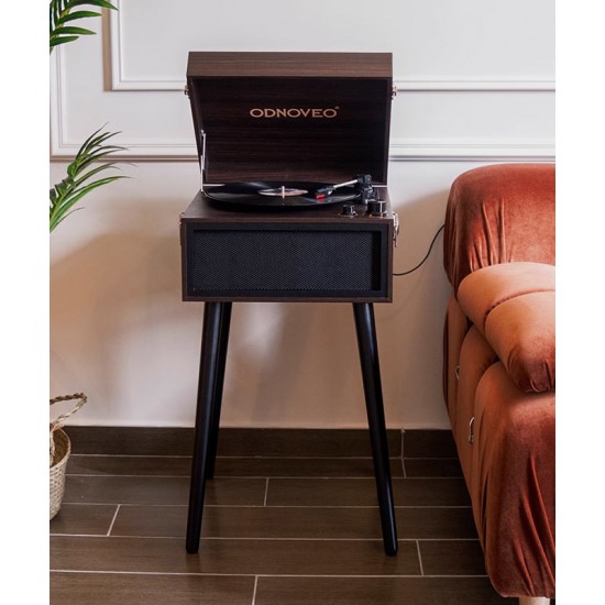 Floor standing retro phonograph, Scandinavian vintage vinyl record phonograph, multifunctional music player	