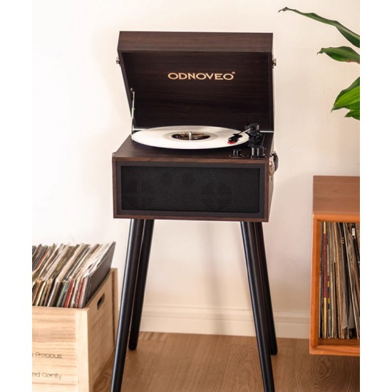 Floor standing retro phonograph, Scandinavian vintage vinyl record phonograph, multifunctional music player	