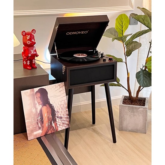 Floor standing retro phonograph, Scandinavian vintage vinyl record phonograph, multifunctional music player	
