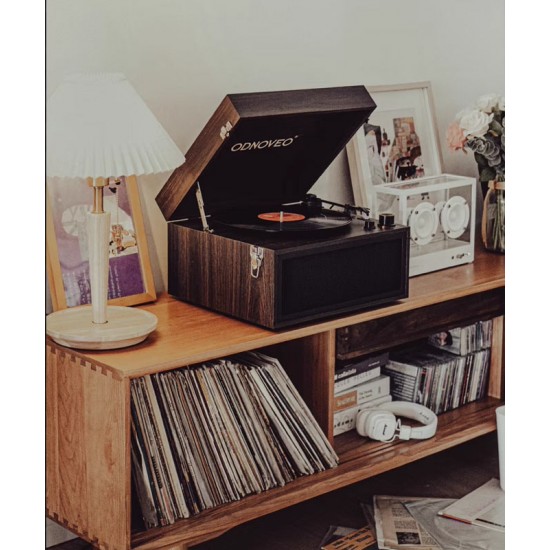 Floor standing retro phonograph, Scandinavian vintage vinyl record phonograph, multifunctional music player	