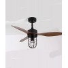 42 inch boom type black wood grain leaf, frequency conversion, remote control  