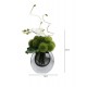 Green plant decoration, orchid flower arrangement, living room table and coffee table decoration
