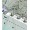 With Silver Faucet 