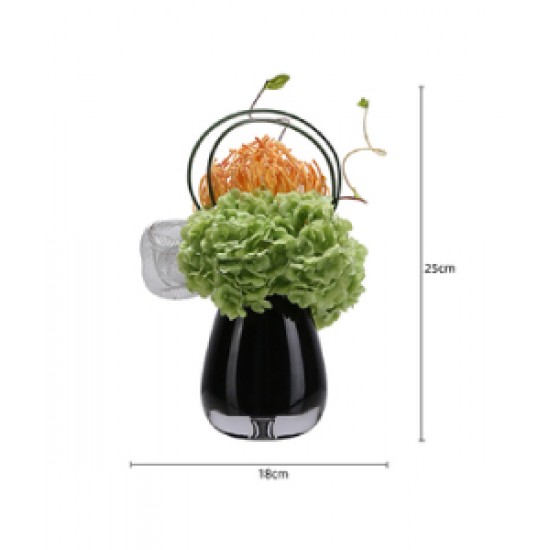 Green plant decoration, orchid flower arrangement, living room table and coffee table decoration