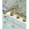 With Gold Faucet 