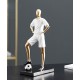 A beautiful decoration for a boys desk and bookshelves can also be used for work, office and living room