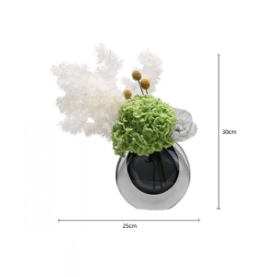 Green plant decoration, orchid flower arrangement, living room table and coffee table decoration