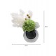 Green plant decoration, orchid flower arrangement, living room table and coffee table decoration