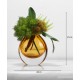Green plant decoration, orchid flower arrangement, living room table and coffee table decoration