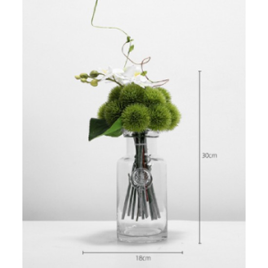 Green plant decoration, orchid flower arrangement, living room table and coffee table decoration