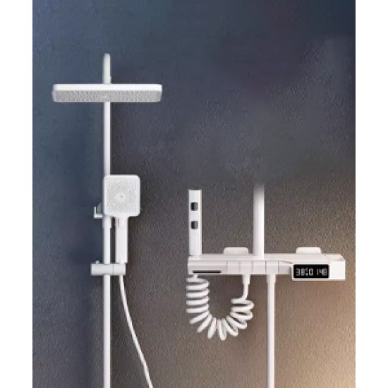 Shower set with digital display and constant temperature