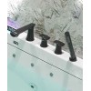 With Black Faucet 